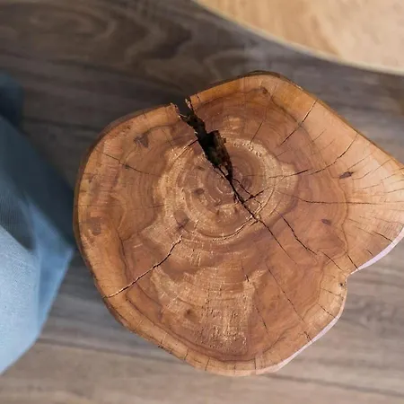 Rent Like - Pod Blachowka 4